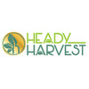 Heady Harvest